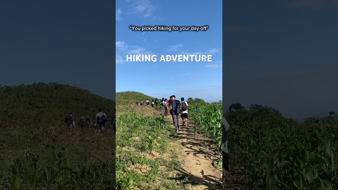 1775704445 maxresdefault.jpg