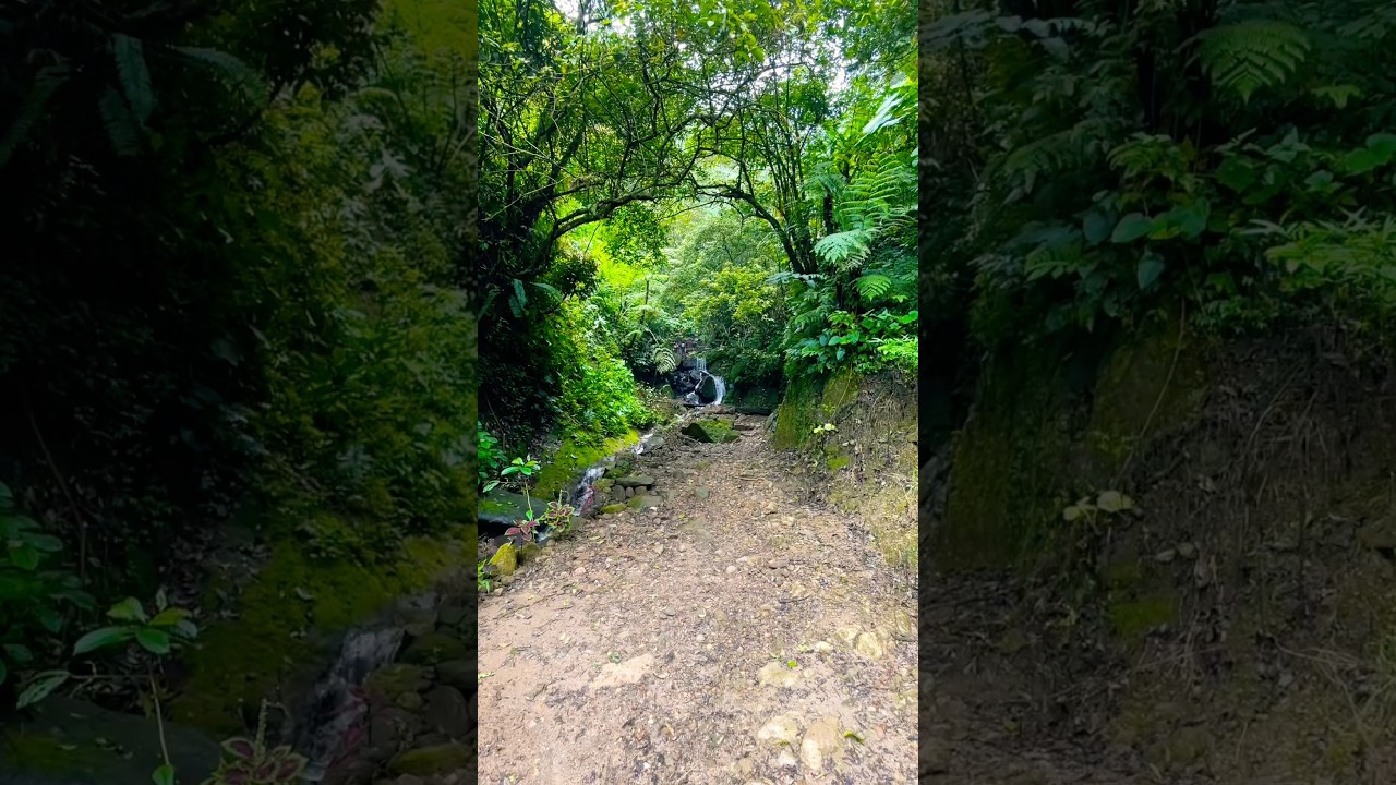 1776361445 maxresdefault.jpg