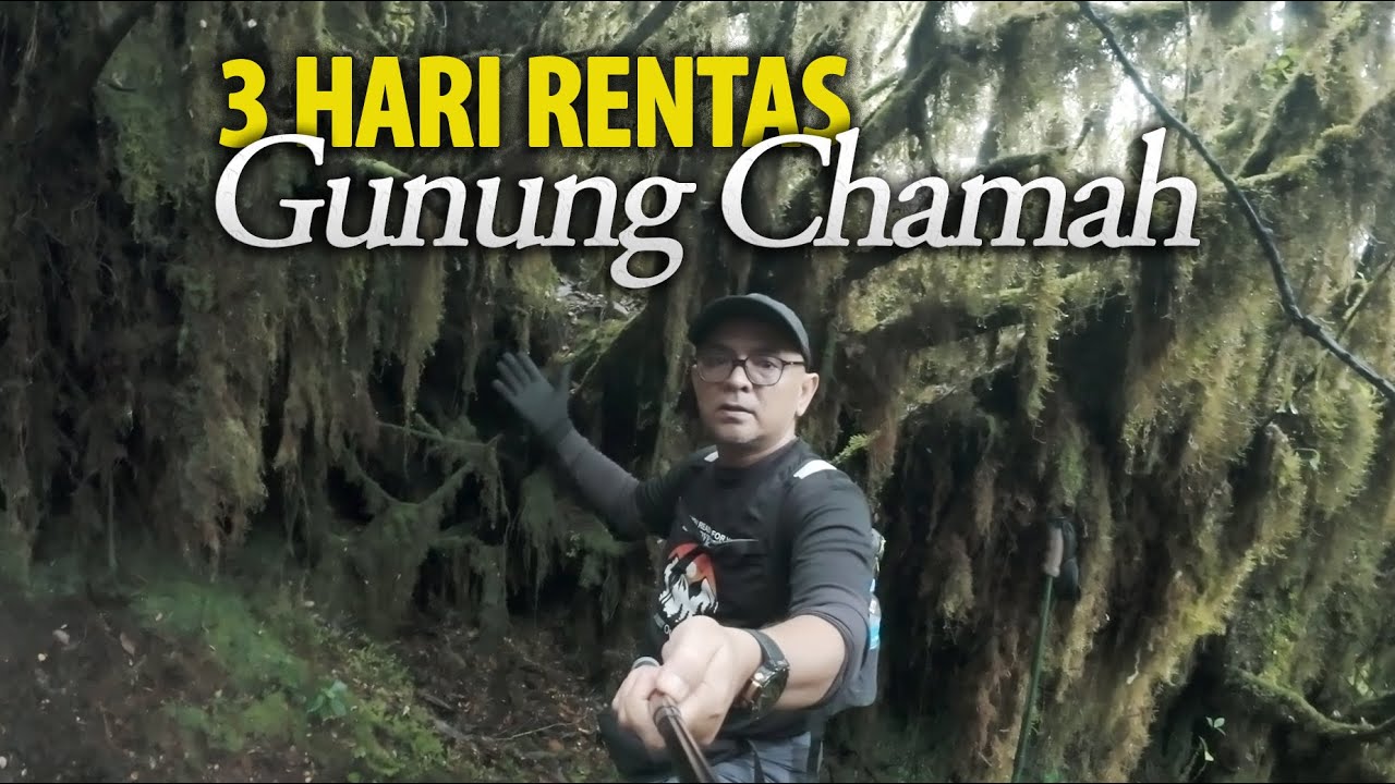 1776460463 maxresdefault.jpg