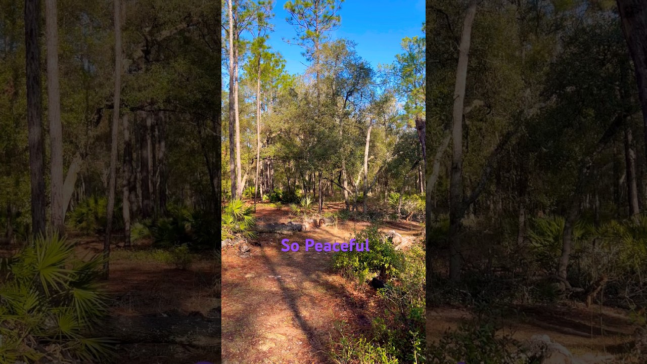 1777189445 maxresdefault.jpg