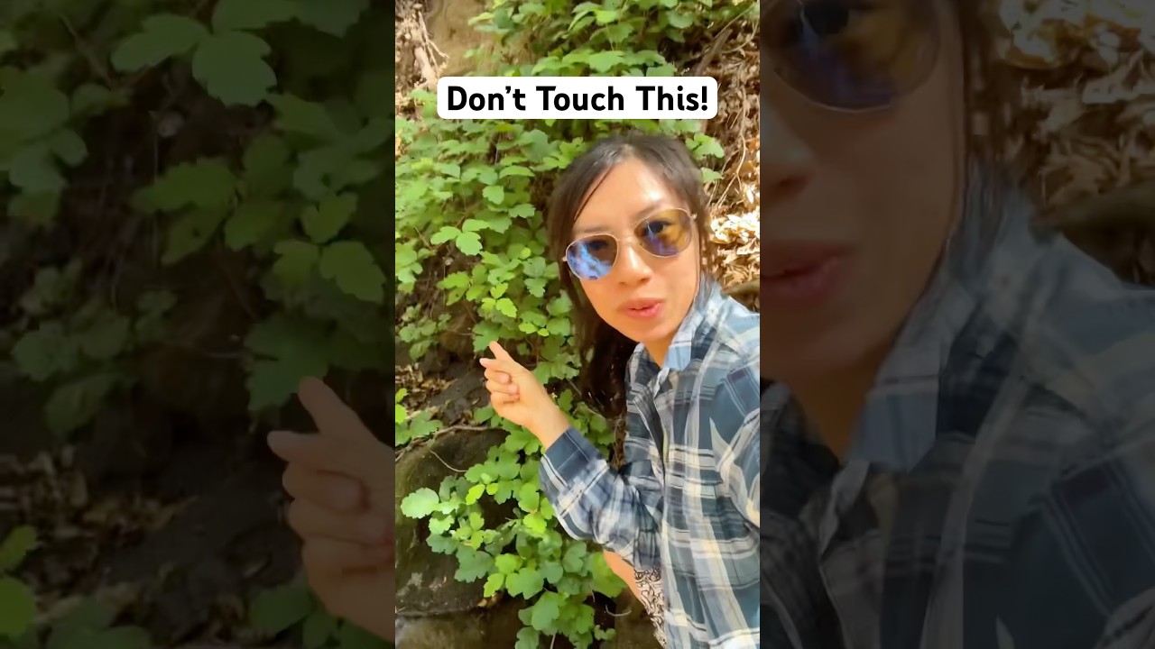 1777238067 maxresdefault.jpg