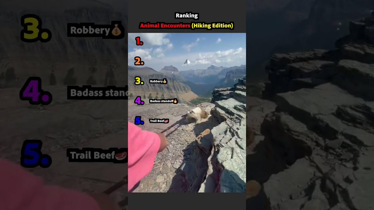1777770850 maxresdefault.jpg
